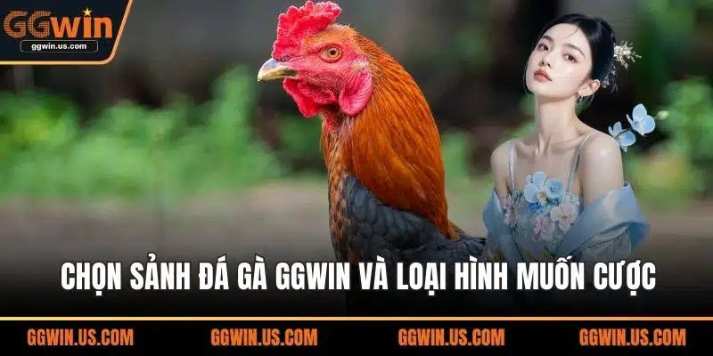 Chọn sảnh đá gà GGWIN và loại hình muốn cược