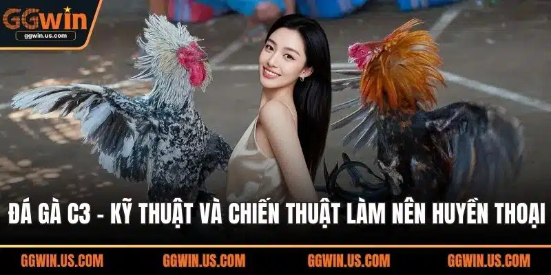 Đá gà C3