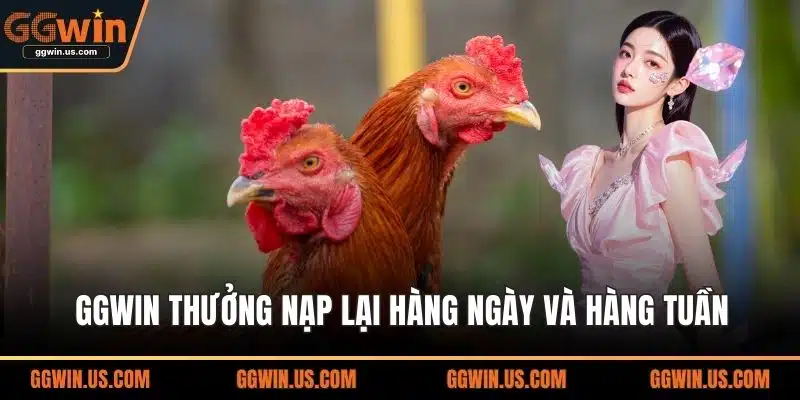 GGWIN thưởng nạp lại hàng ngày và hàng tuần