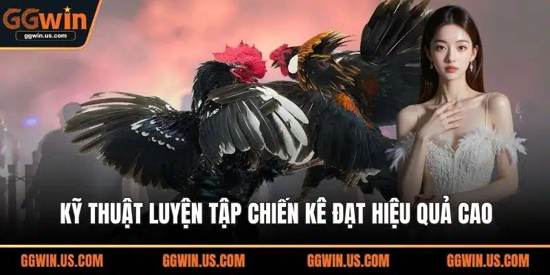 Kỹ thuật luyện tập chiến kê đạt hiệu quả cao