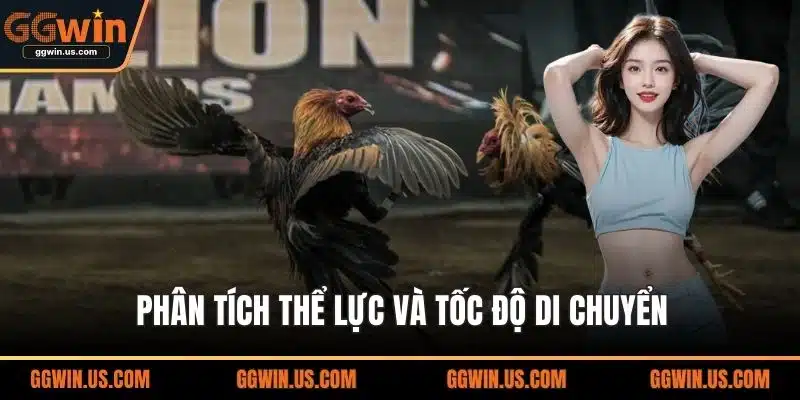 Phân tích thể lực và tốc độ di chuyển