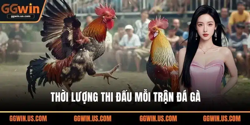 Thời lượng thi đấu mỗi trận đá gà