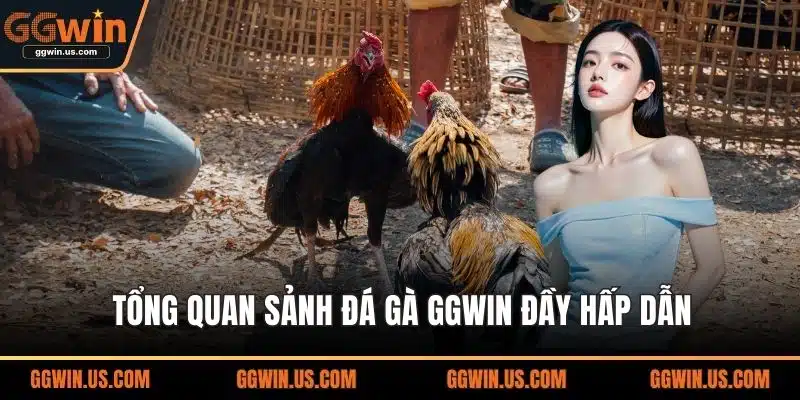 Tổng quan sảnh đá gà GGWIN đầy hấp dẫn